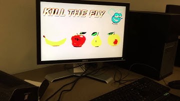 University of Toronto ECE241 Final Project: Kill The Fly