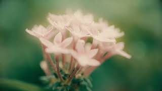 Download Lagu Rrag - Kemarau Panjang (Official Lyric Video) MP3