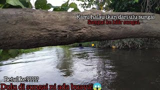 PUKAT:HALAU IKAN DARI ULU SUNGAI SAMPAI HILIR SUNGAI.SERANGGGGG....EPISOD105.