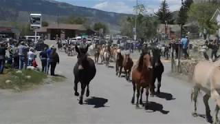 Hell's -a- Roarin' Horse Drive outside Yellowstone 2018