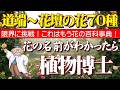 〈限界特盛70種〉花の百科事典(名前辞典)登場!道端や花壇に咲く、今が旬の花の名前が詳しくわかる。断言します!これ以上の草花動画はありません。