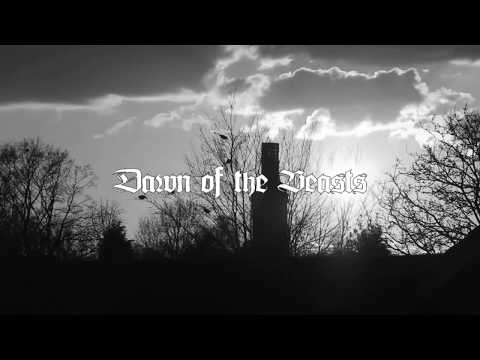 在 YouTube 上觀看「Wrongler - "Torn Apart" Official Lyric Video」