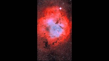 3dNebula Boot Animation