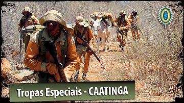 Tropas Especiais do Exército Brasileiro - Caatinga