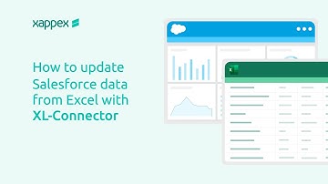 How To Mass Update Salesforce Data from Excel with XL-Connector
