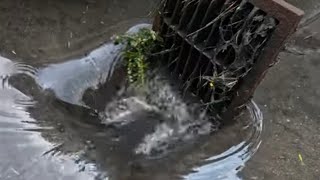 How to unclog a plugged area drain outside of a building. WEEKEND WHIRLPOOL. SO SATISFYING.