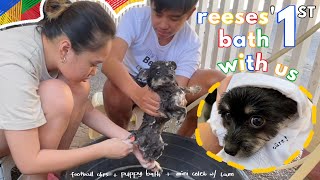 vlog \\ random days: football, reeses' first bath with us, short clip with the Mendoza's