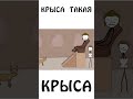 Крыса - такая крыса!!! #лятыкрыса #животные #академияброкколи #шортс #мифы image