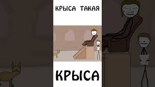 Крыса - такая крыса!!! #лятыкрыса #животные #академияброкколи #шортс #мифы image