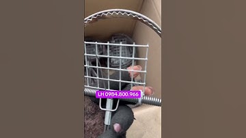 CẠM BÁN NGUYỆT BẪY CÒ VẠC CHẤT LƯỢNG LH 0984.800.966