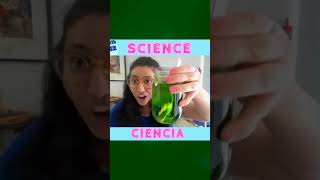 Make a bouncy green egg with Jocelyn 🍳🧪 #steam #stem #science #scienceexperiment