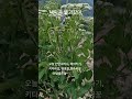 #내마음별과같이#현철노래#2025년 7월 8일
