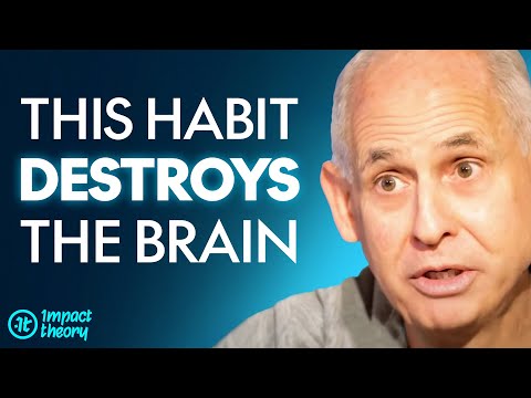 11 Risk Factors That Destroy Your Brain | Dr. Daniel Amen on Health Theory