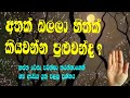 නිවරදිව අත්ලක් පරික්ෂා කිරීම palmistry
