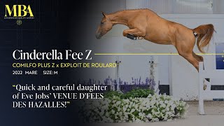 Cinderella Fee z Cinderella Fee z