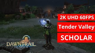FFXIV Dawntrail: Tender Valley  SCHOLAR GAMEPLAY 166 [2k/MAX PRESET]