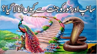 Why Was The Snake Or Peas Life Taken Out? Question Of Hazrat Adam As Or Hazrat Hawa As T...