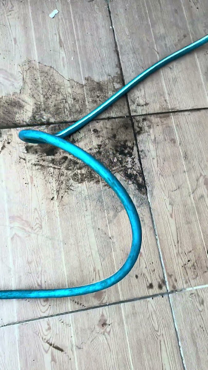 ABONE OLUN) 𝐏𝐋𝐄𝐀𝐒𝐄 𝐒𝐔𝐁𝐒𝐂𝐑𝐈𝐁𝐄 Abonnieren) Пожалуйста подпишитесь veuillez vous abonen