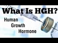 What is HGH | Human Growth Hormone | HGH use for Bodybuilding