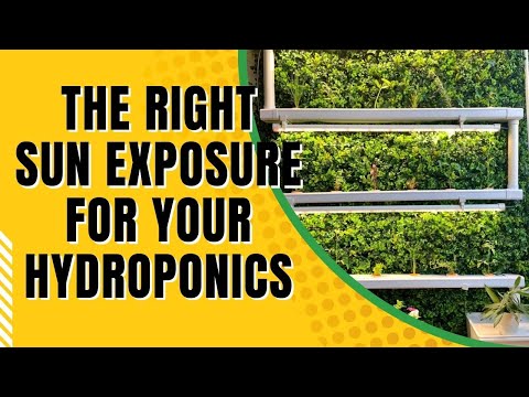 Choosing The Right Sun Exposure For Your Hydroponic System - Chapter 8