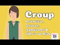 Croup  overview causes symptoms  whos at risk