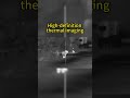 The life "lit up" in the darkness