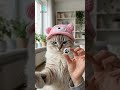 Mini GPS Tracker for Pets and Kids #TiktokMadeMeBuyIt #shorts #pettracker #smartgadgets#promtrade