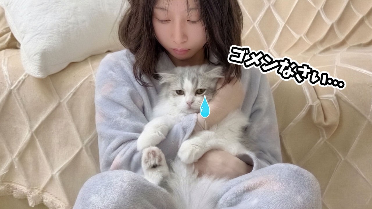 思わずママを噛みついちゃって落ち込む子猫の行動が可愛すぎる！