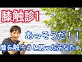触診膝関節編1　触診に自信がない新人理学療法士・作業療法士さんへ