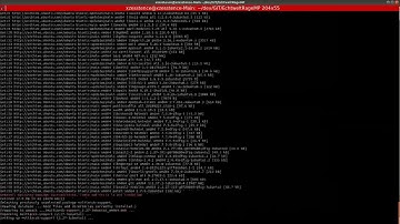 Echtwelt RageMP Source Deployment