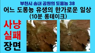 부천시 송내 공원의 도롱뇽 38. 어느 도롱뇽 유생의 한가로운 일상 (10분 롱테이크); Korean salamander 38. Failed hunt of a tadpole by 이덕하의 진화심리학 20 views 1 day ago 16 minutes