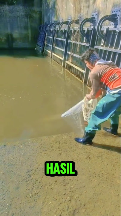 Jala ikan‼️hasil nya luar biasa 😯 #mancing #carpfishing #fish