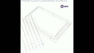 Co-culturing Astrocytes and Tumor Cells Using 96-Well Transwell Inserts