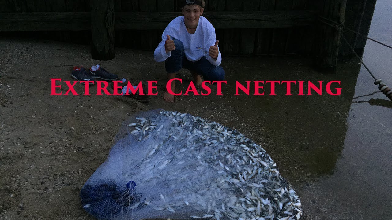 Extreme Cast Netting For Peanut Bunker 2015 Insane Cast Netting YouTube