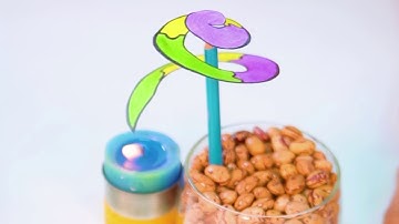 La serpiente que gira: convección | Experimenta en casa | Parque Explora