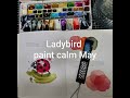 Ladybirdladybug paint calm may