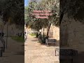 Beautiful Western Walls of the Great City of Jerusalem