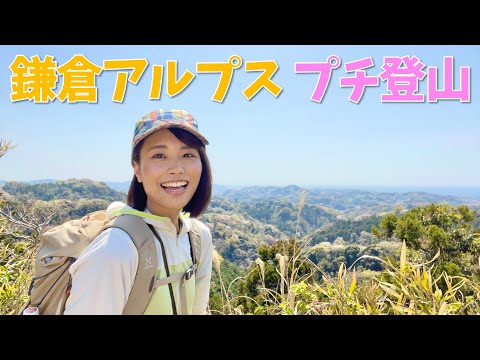 【GWのお出かけにぴったり】鎌倉アルプスのハイキングコースは登山もグルメも楽しめて最高✨