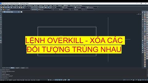 OVERKILL - Lệnh xóa các đối tượng trùng nhau | Delete duplicated objects