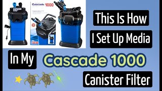 cascade 1000