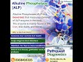 Alkaline Phosphatase (ALP) Test | Liver &amp; Bone Health Test | Pathquest Diagnostics #bloodtest