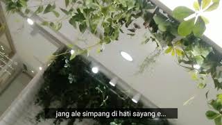 DANKE - MACE PURBA (LIRIK LAGU)