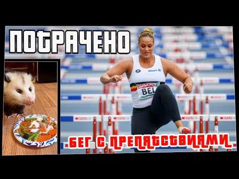 Потрачено. Бег с препятствиями. Лучшие приколы, смешные видео и фейлы