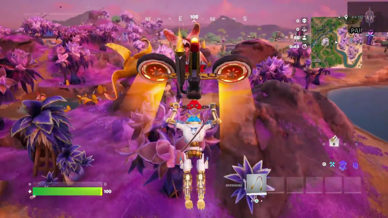 Fortnite Battle Royal Solo 23