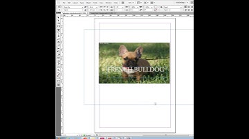 Changing Text Colour InDesign