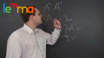 Linear Algebra 16j: Eigenvalues and Eigenvectors of the Square and the Inverse