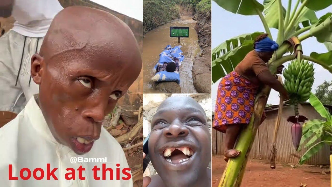 So funny you will forget what you were doing 😂😂😂😂