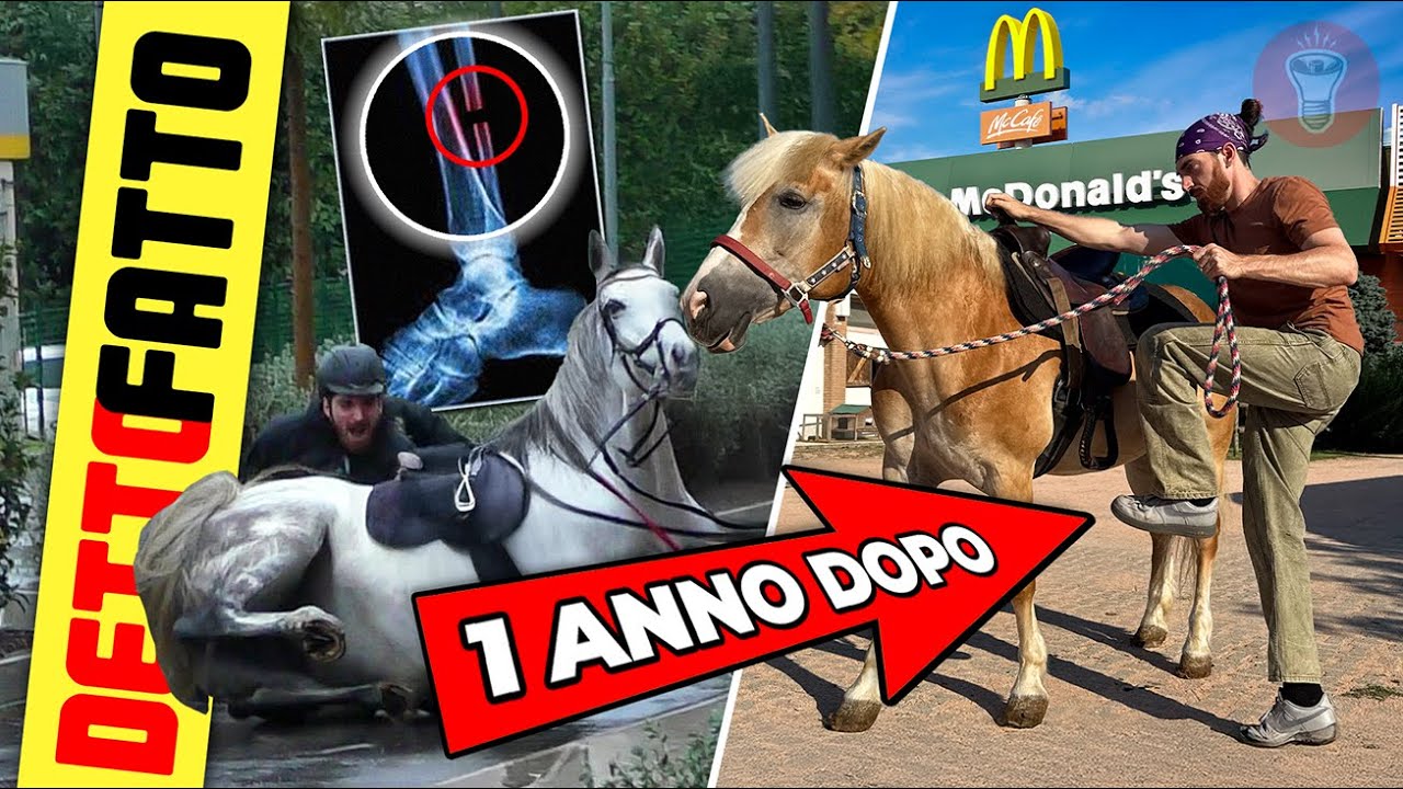 Rifate il McDrive a Cavallo - [Detto Fatto Ep.94] - theShow