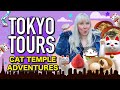 Relaxing Day in Tokyo's Setagaya 👑🐷 Gotokuji Cat Temple, Soba, and Japanese Sweets on Tokyo Tours