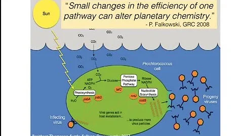 UM EEB Seminar: Melissa Duhaime, University of Mic...